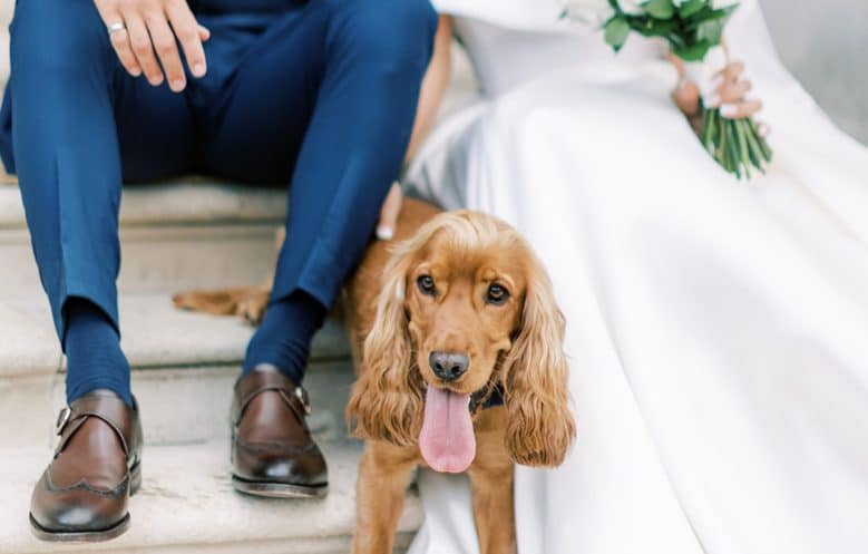 Dog-friendly wedding venue in the UK with charming surroundings