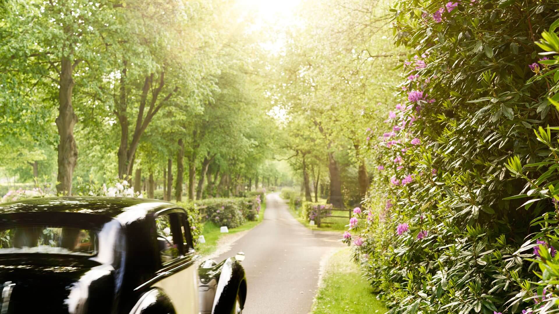 Driving down the drive to Hedsor